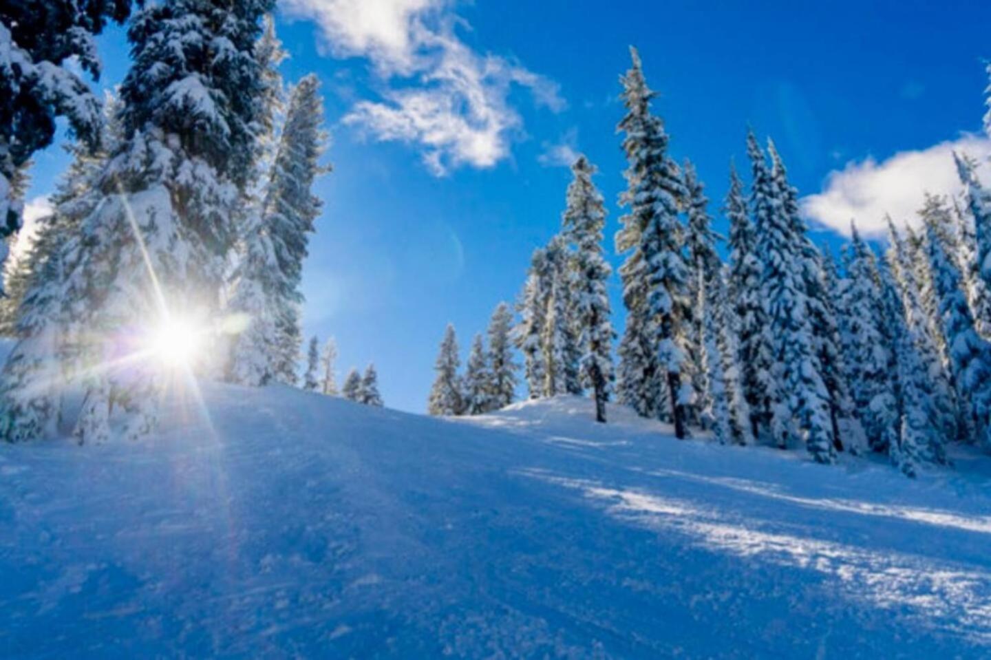 Serene Mountain And Sunset Views 3Bd Cabin フランクリン エクステリア 写真
